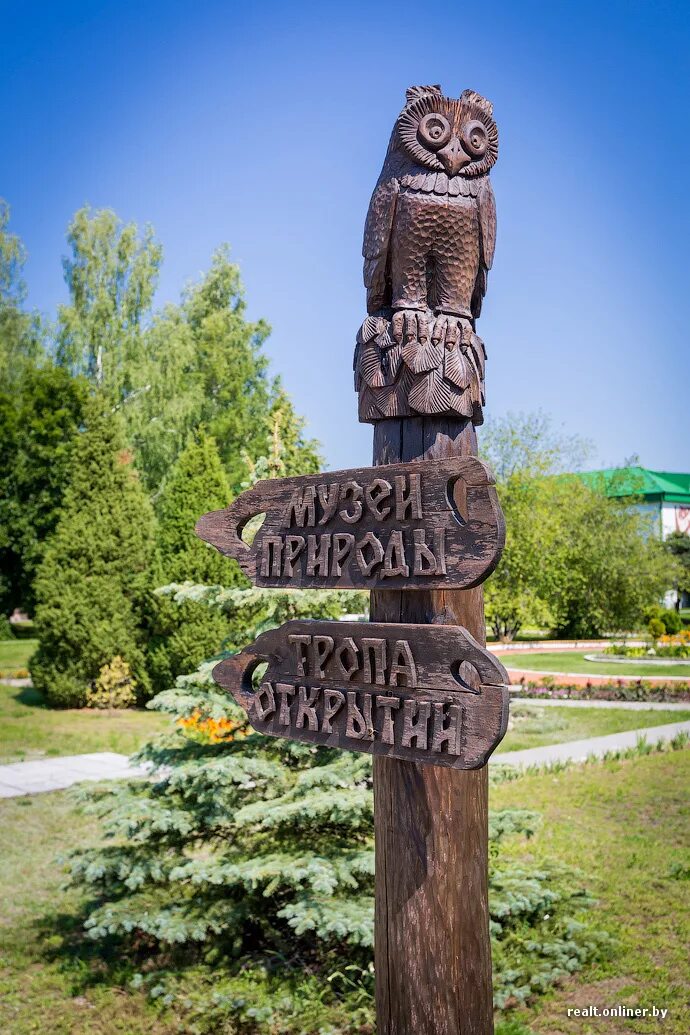 Березинский биосферный заповедник п 6 букв название. Березинский биосферный заповедник. витебск заповедник березинский. березинский биосферный заповедник (г. витебск). музей березинского заповедника.