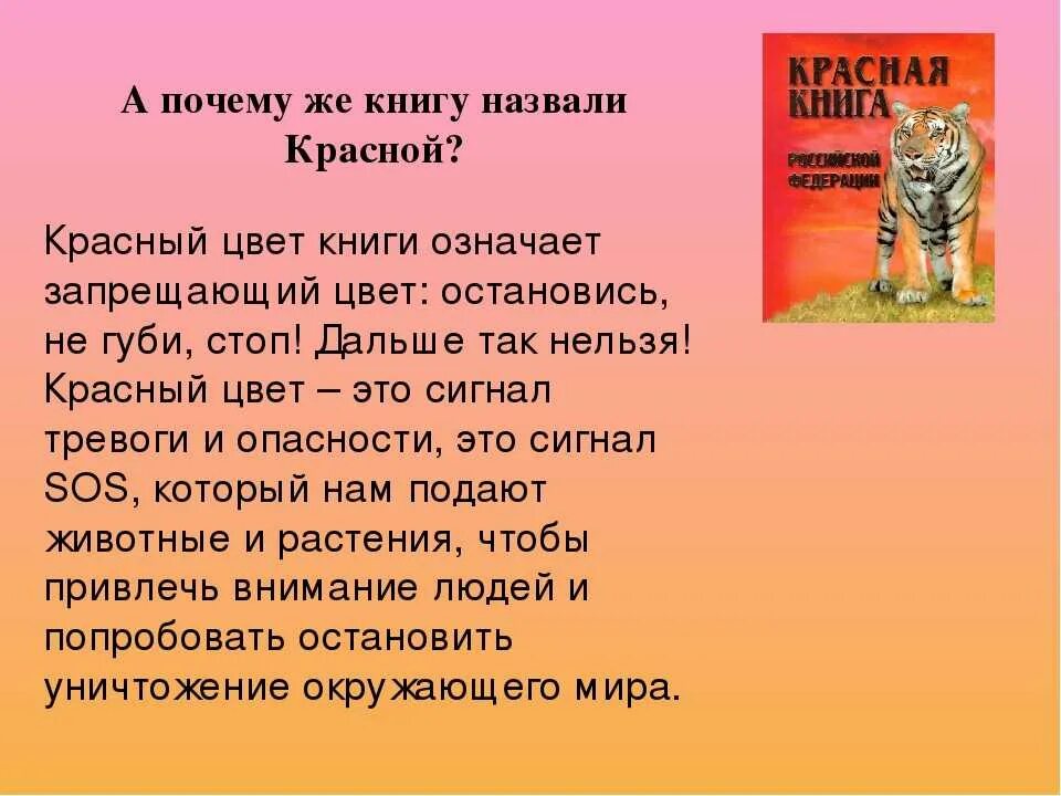 Сделать красную книгу 2 класс. Проект красная книга 2 класс окружающий мир. Проект красная книга. Проект на тему красная книга. Проект по окружающему миру красная книга.