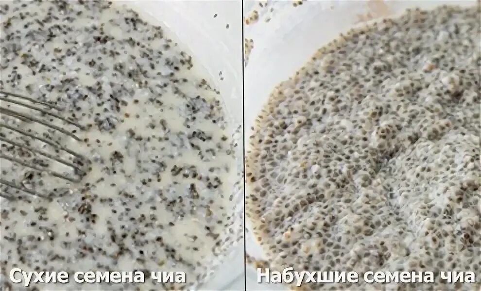 Семена чиа замачивание. Семена чиа замоченные. Семена чиа в воде. Семена чиа плод. Семена льна отмоченные.