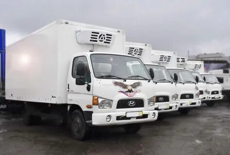 Рефрижератор автомобильный