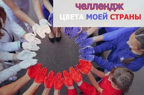 Акция цвет