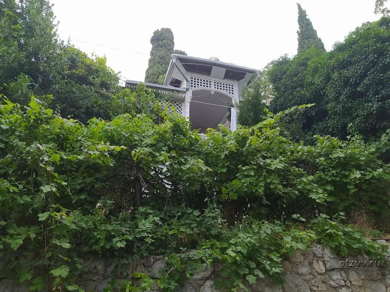 Дачи петровичи. Дача петровичи алупка. алупка ул фрунзе. алупка ул. фрунзе дача телепчи. дачи алупки модерн.