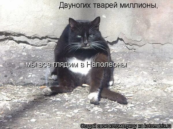 все предрассудки истребя мы почитаем