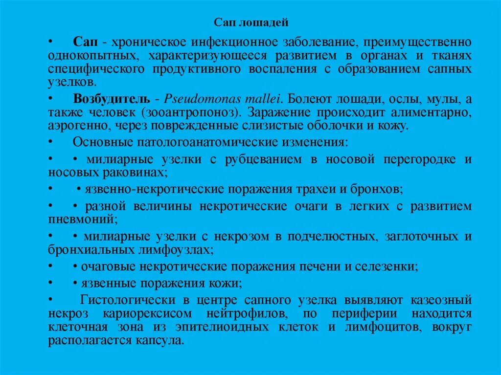 САП расшифровка заболевание. САП заболевание у лошадей. САП У животных пути передачи. Сап приветствие