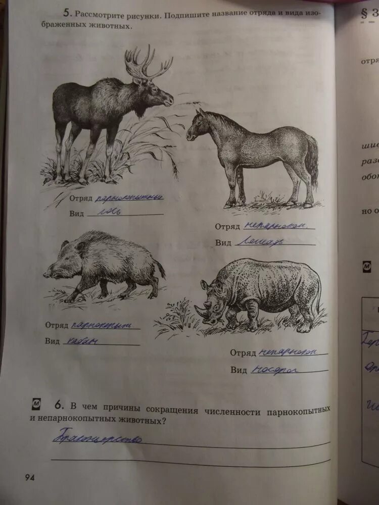 Биология 7 класс животные. Млекопитающие рабочая тетрадь. Подпишите названия изображенных животных. Класс млекопитающие проверочные задания.