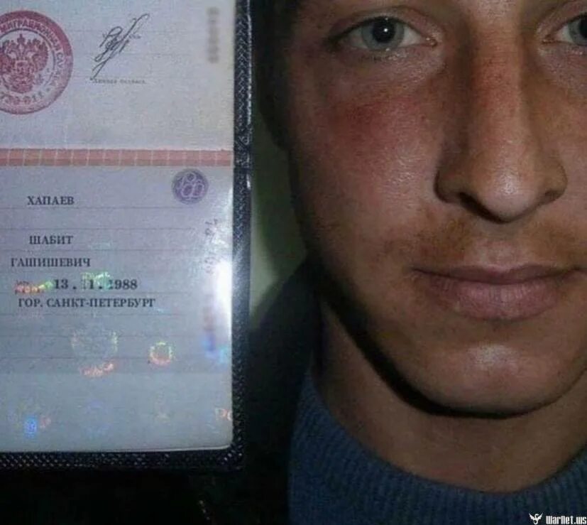 Больше чем шабить песня. Шабит гашишович. Упоротая сова. Шабить будешь. Больше чем шабить песня.