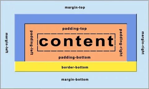 Border bottom