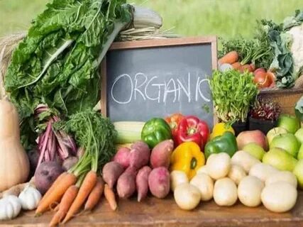 Сельскохозяйственная продукция компании