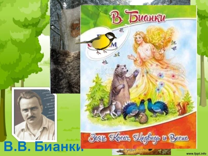 Сказка заяц косач медведь и дед мороз. Бианки заяц косач. Бианки заяц косач. Сказка заяц косач медведь и дед мороз. Бианки заяц косач.