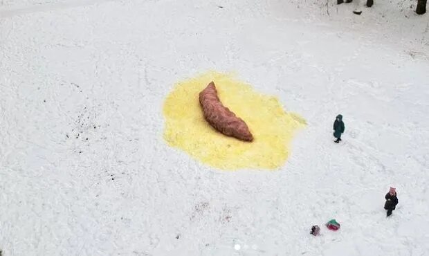 Фекалия ивана волкова на марсовом поле. Нарисовать какашку. Волков фекалии марсово поле. Поли какашка. Волков марсово поле.