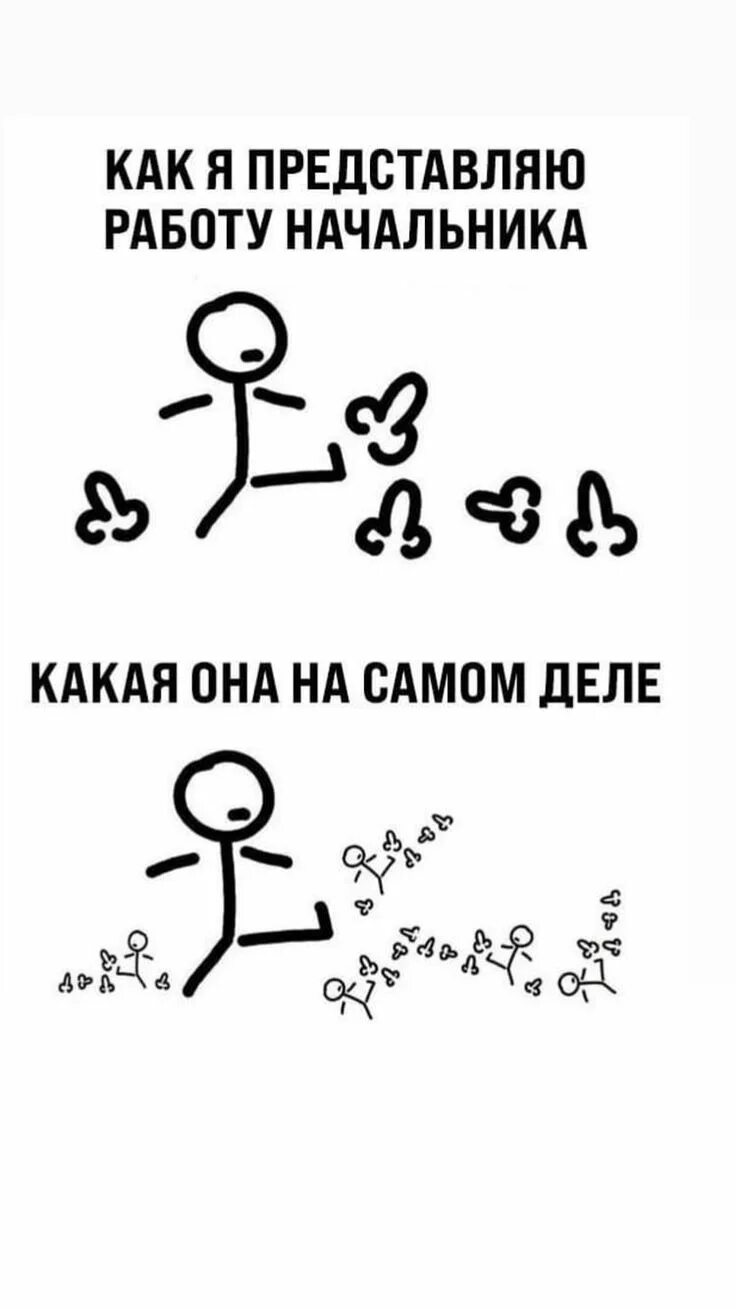 Футболка с принтом планы на день. Планы пинать. Планы пинать. Футболка планы на день. Планы пинать.