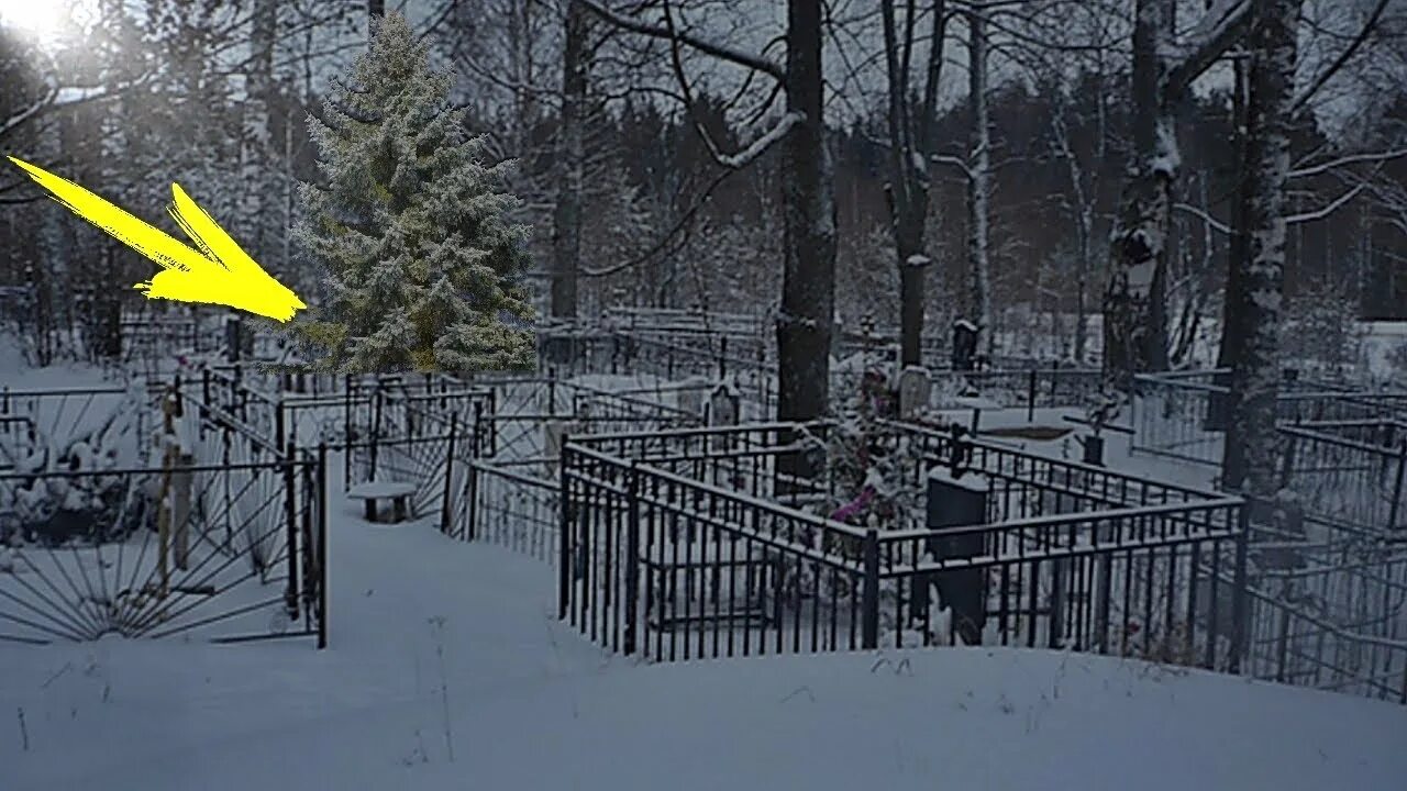 Кладбище зимой. Кладбище зимой ночью. Ночное кладбище. Кладбище ночь истории