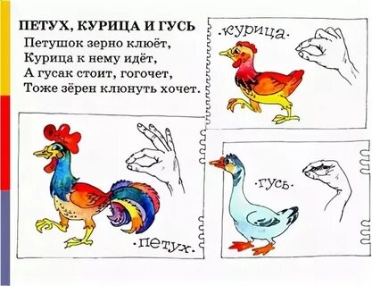 Петух хочу петух