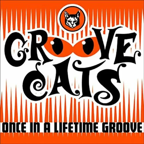 Once a cat. Грув кэтс. Groove Cats once in a Lifetime Groove 2006. Беби тайм Groove Cats. ВАВУ Тиме Groove Cats.