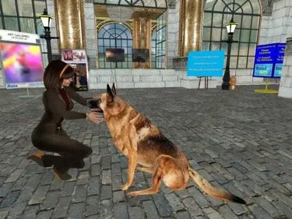 Dog xyz