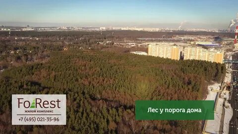 Форест ижевск
