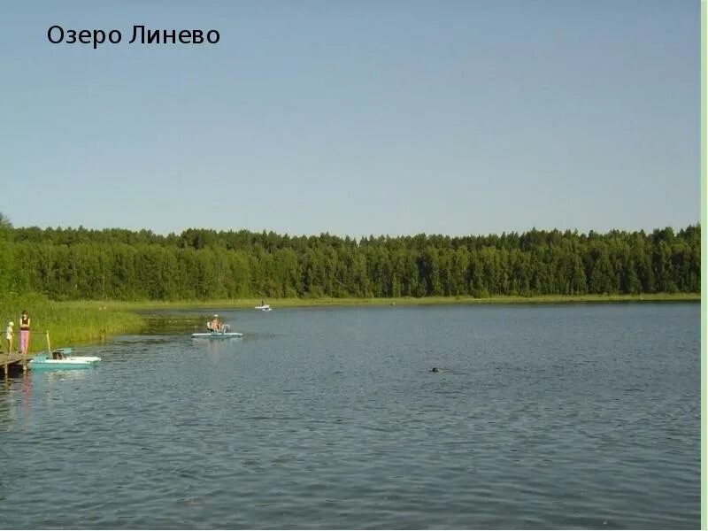 Линево омск. Озеро линево курганская. муромцево озеро линево. озеро линево курганская область.