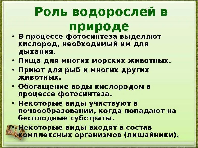 Какого значение водорослей. Роль водорослей в природе. Ролл водорослей в природе. Роль водорослей в природе и жизни человека. Роль водорослей в природе и жизни человека 5.