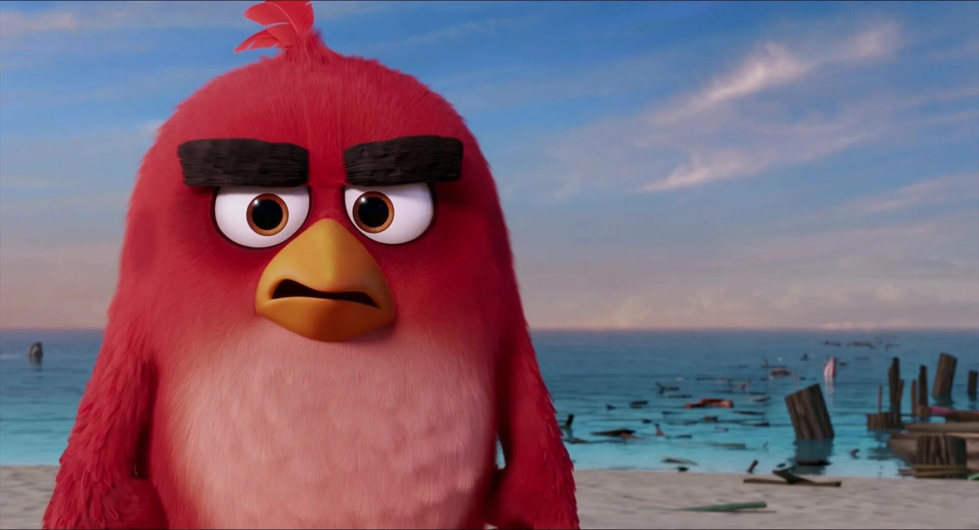 Angry birds 15 15. Ангри берс. Angry birds 15 15. Angry birds 15 15. Angry birds 2 игра.