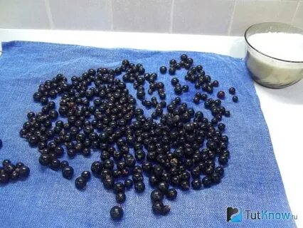 Нужно ли мыть чернику перед заморозкой