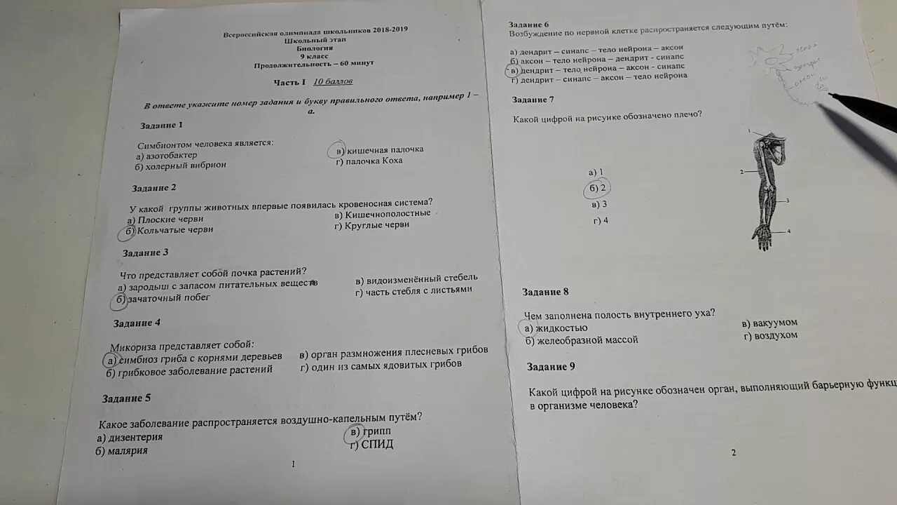 Олимпиадные задания по биологии. Олимпиадные вопросы по биологии. Задания олимпиады по биологии 7 класс.