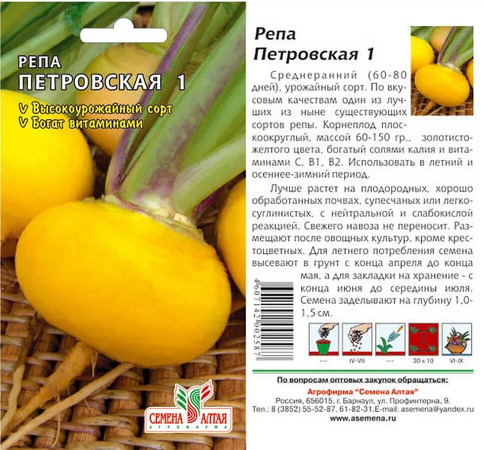 Репа какие сорта. Репа какие сорта