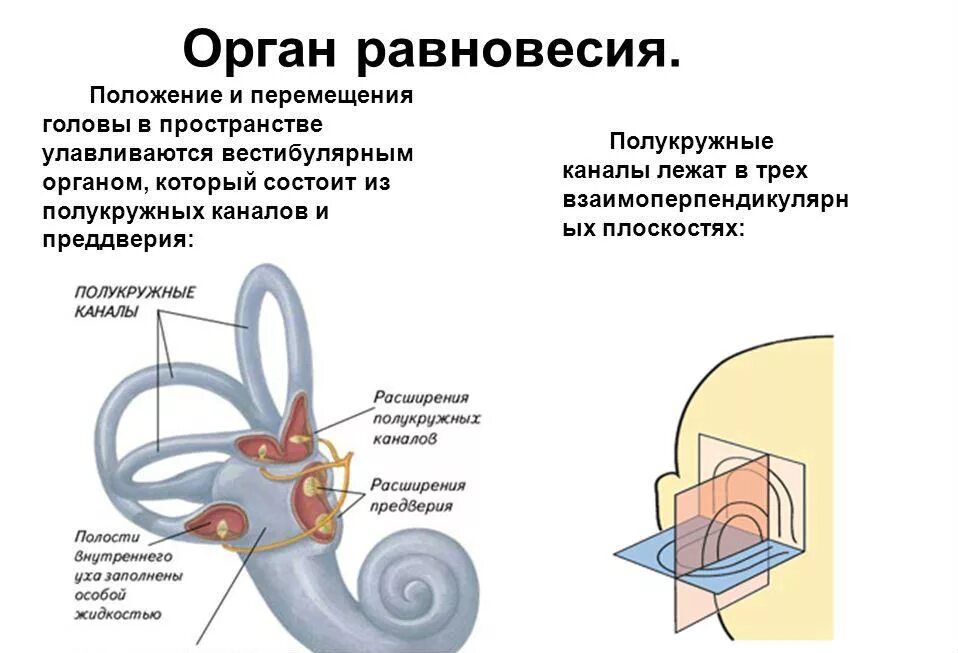 Канал равновесие