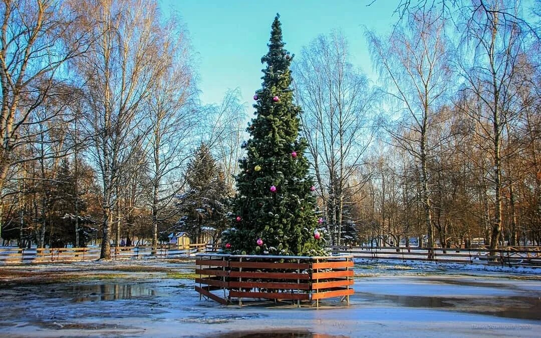 елка победы. елка победы площадь победы 3 отзывы. елка победы площадь победы 3 отзывы. ёлка победы в музее победы. елка победы донбасс.