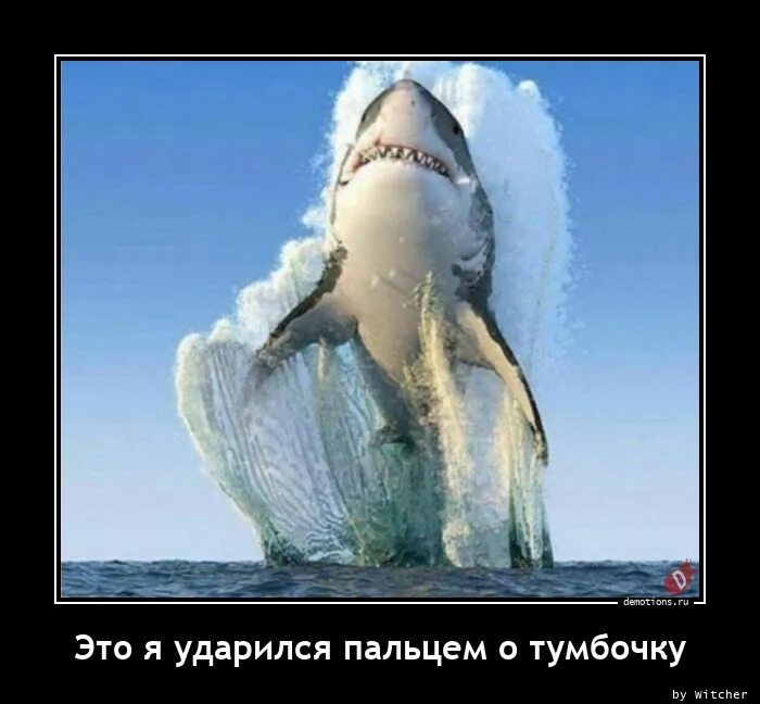 Горе мастер предложения