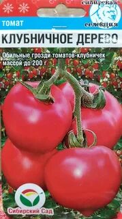 Характеристика томата клубника