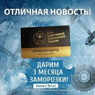 Заморозка фитнеса