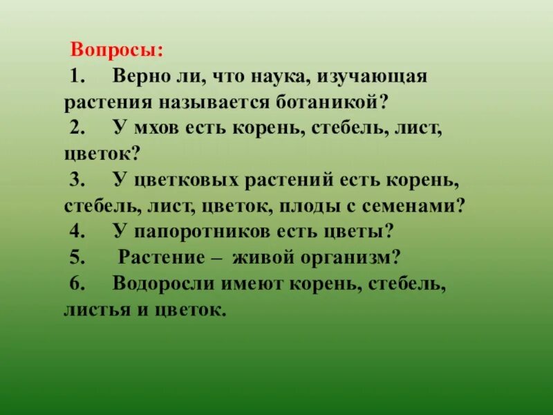 Верно ли что любые