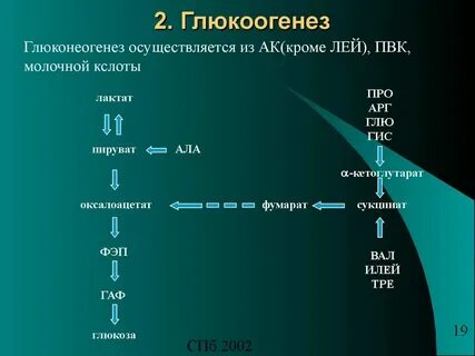 Фэп биохимия