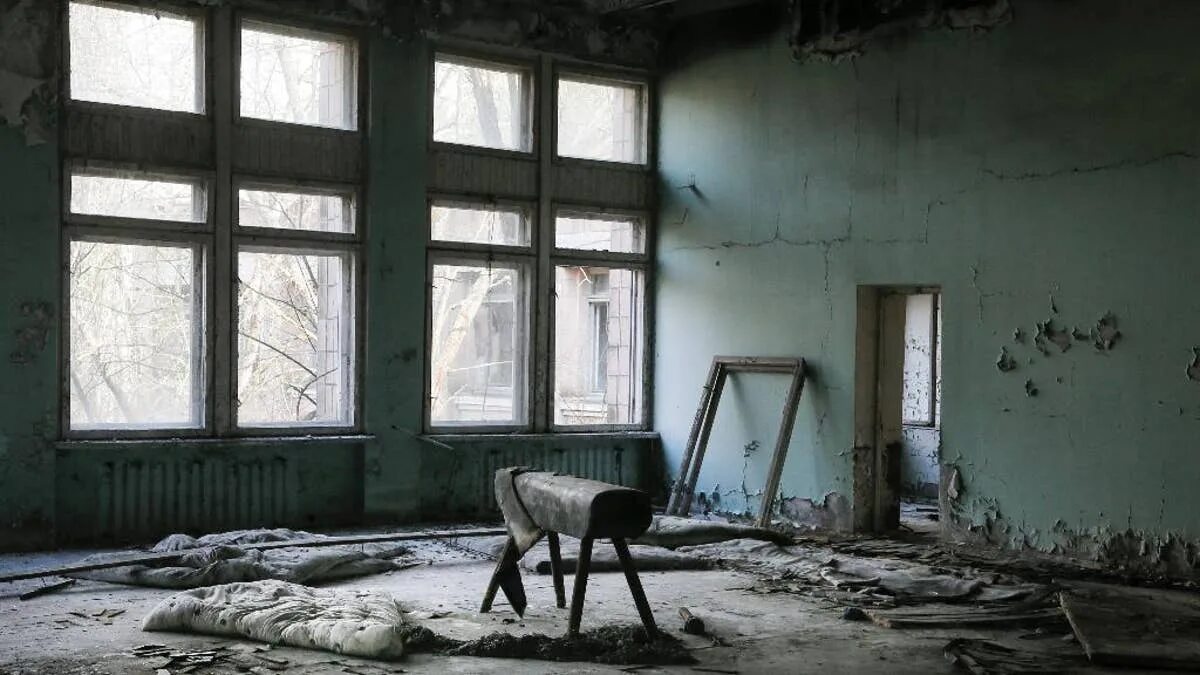 The dogs of Chernobyl - ABC News