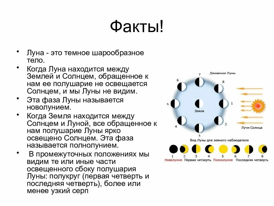 Фаза луны когда возмущающее ускорение будет максимальным. Движение и фазы луны кратко. движение и фазы луны астрономия 11 класс. схема смены фаз луны. движения и фазы луны краткий конспект.
