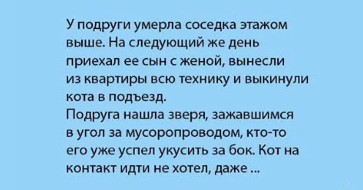 Когда бы не раздался звонок. Раздался звонок в дверь. Сын приехал. Звонок в дверь а там никого. Раздался звонок в дверь два хмыря.