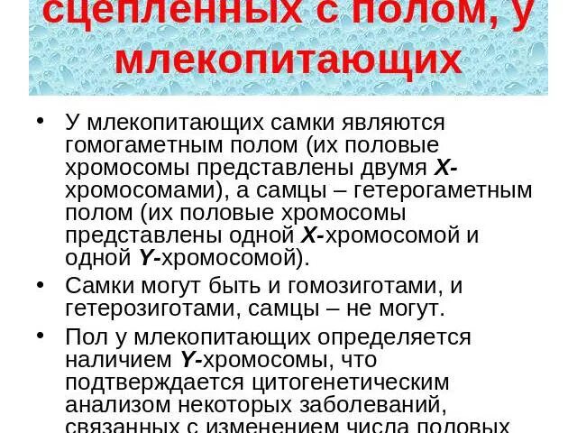 Как наследуется пол у млекопитающих. Наследование пола у млекопитающих. как наследуется пол у млекопитающих человека. наследование признаков сцепленных с полом. самки млекопитающих являются гетерогаметным полом.