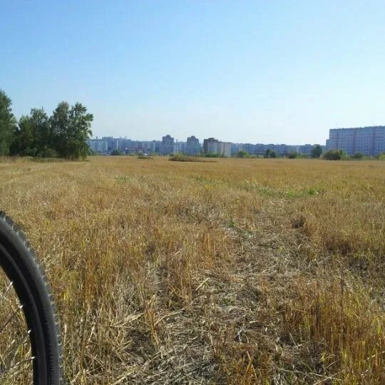 Инюшинская развилка. Инюшинская 2в. Новая развилка. Инюшинский бор. Развилка 16.