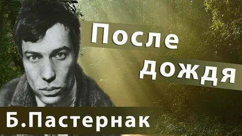 Пастернак после дождя