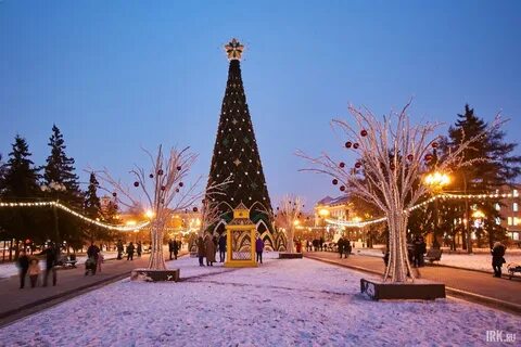 Ели иркутск