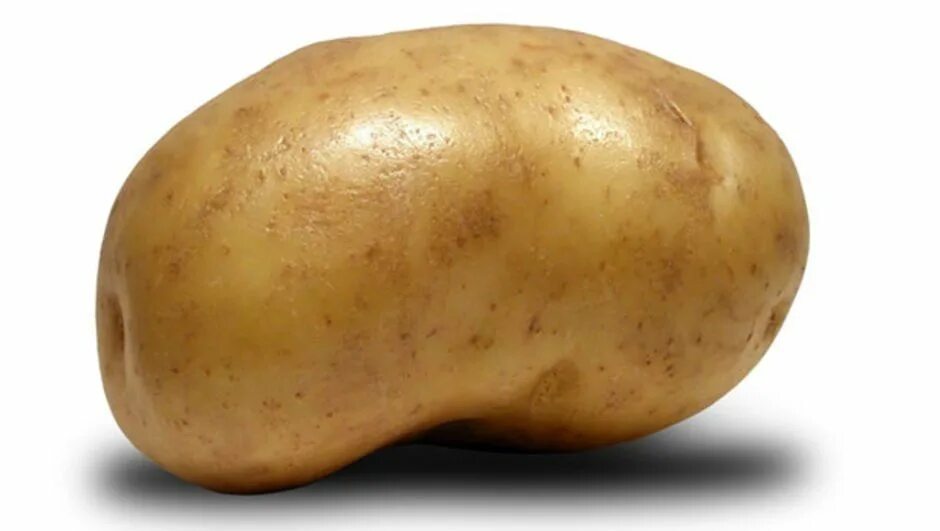 Сом жареный на сковороде. Рецепты сома в духовке кусочками. Сом в духовке с картошкой. Сырая картошка. Картошка сом.