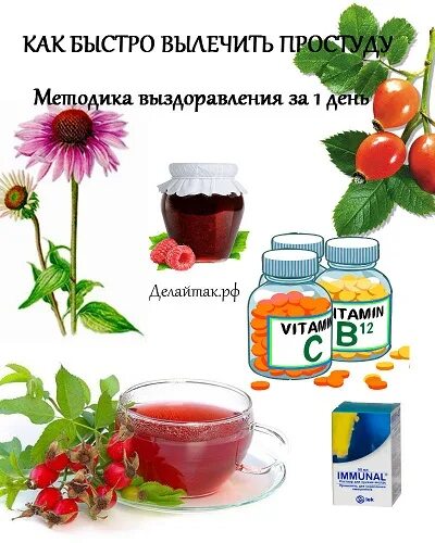 Как в домашних условиях вылечиться от простуды. Быстро вылечить простуду. Как быстро вылечить простуду. Быстро вылечиться от простуды. Как быстро выздороветь от простуды.