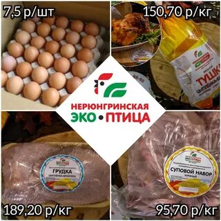 Курочка и точка нерюнгри