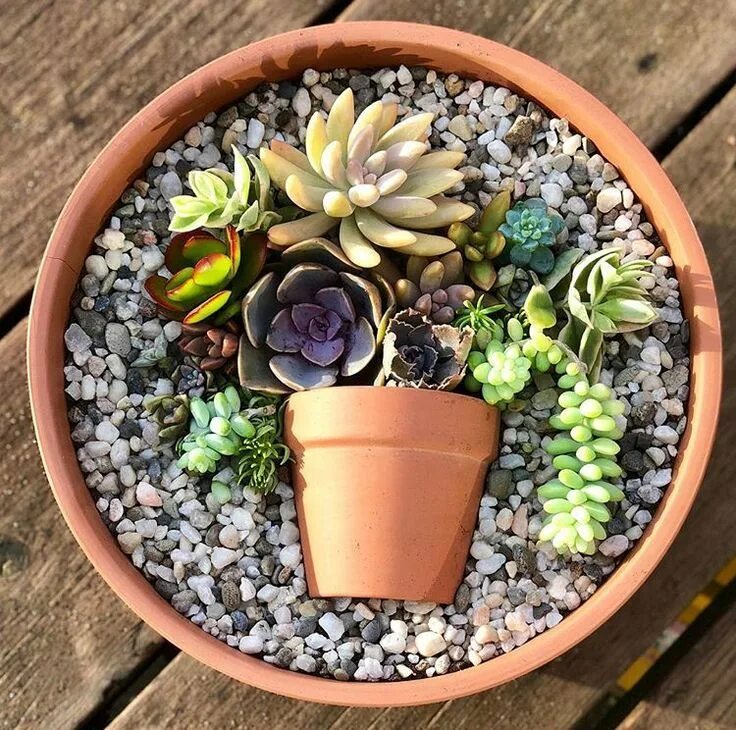 Перлит для суккулентов. Суккуленты грунт. Землю для суккулентных. Субстрат для суккулентов. Суккуленты грунт.