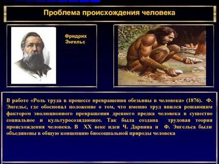 Появление человеческой жизни