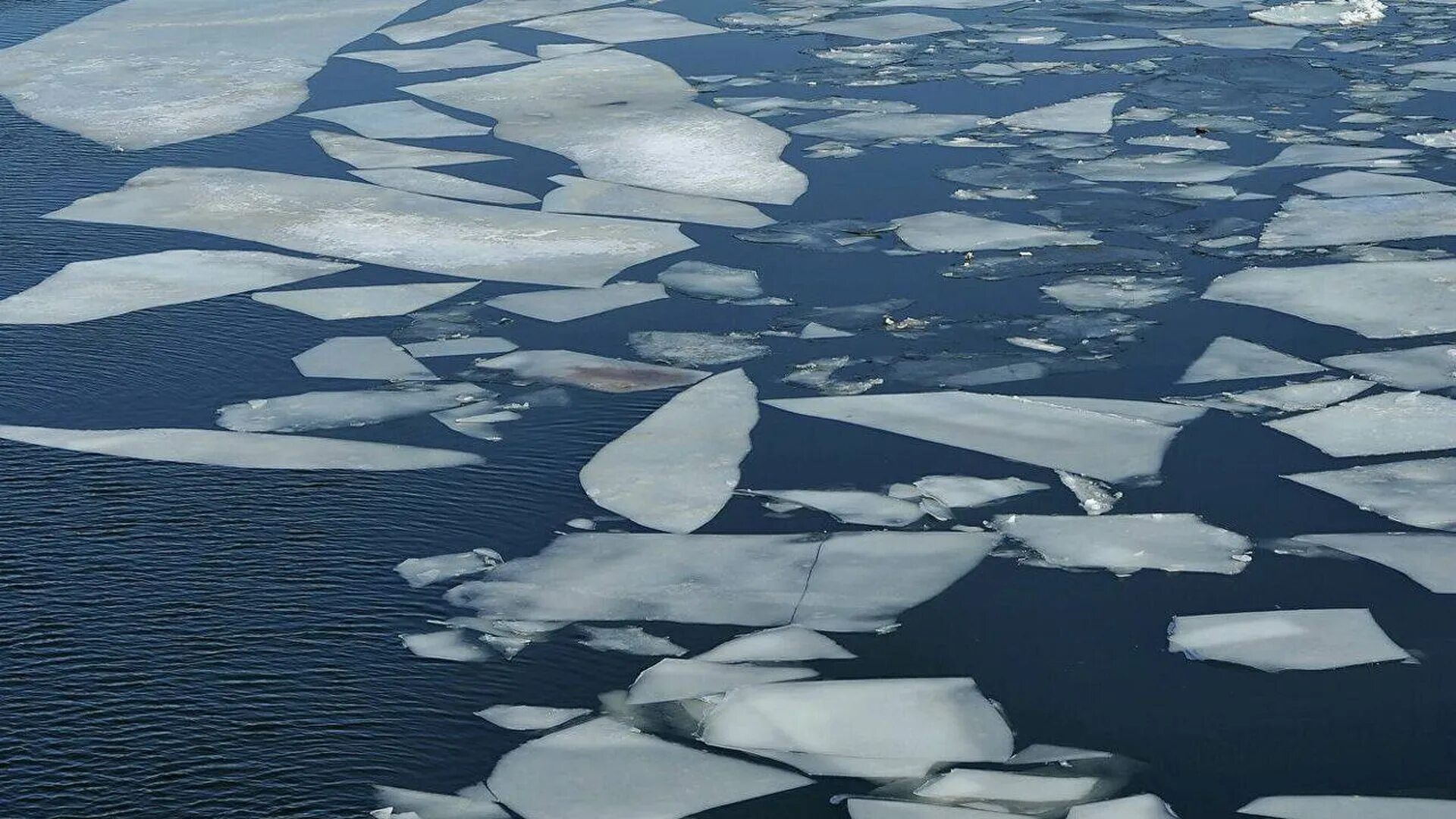 Холодный среди льдин. Ледоход на Енисее 2022. Ледоход Ямал. Ледоход на Волге. Арктика льдины.