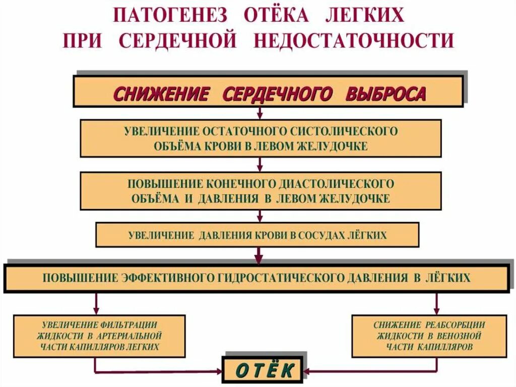 Отёк лёгких механизм развития. Патогенез развития отека легких:. Механизм развития отека легких. Механизм развития отека легких схема. Отек легких механизм