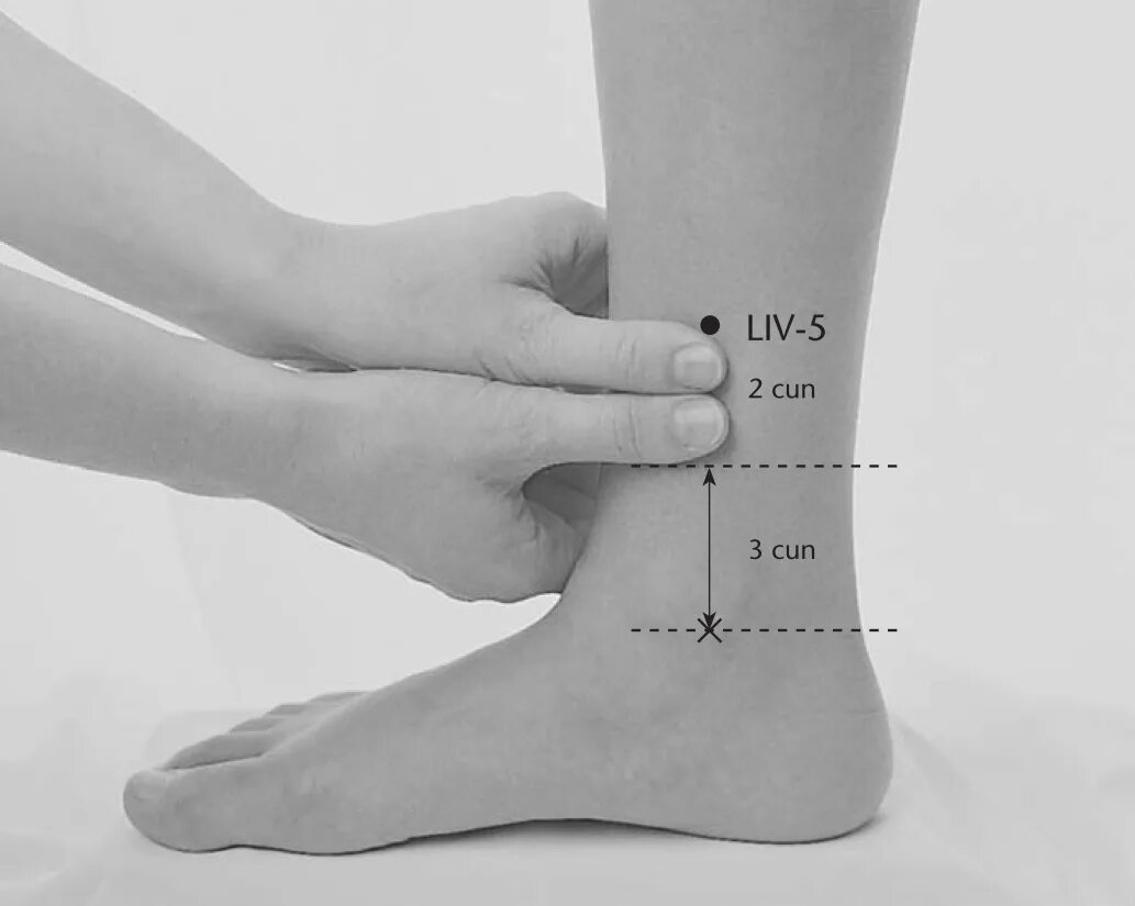 2 шаг 5 точка. F5 точка акупунктуры. Акупунктура f5 f7. F6 точка акупунктуры. Чжун Ду точка.