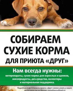 Корм в приют
