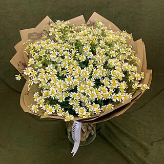 Сколько стоят ромашки
